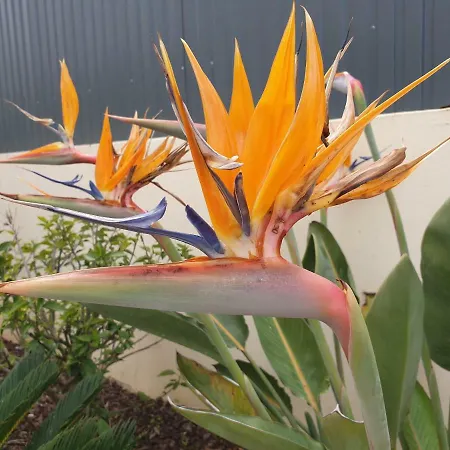 Oura V4 Marisa With Private Pool Вилла *